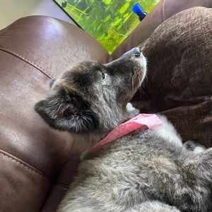 Meet your Posher, Catrina